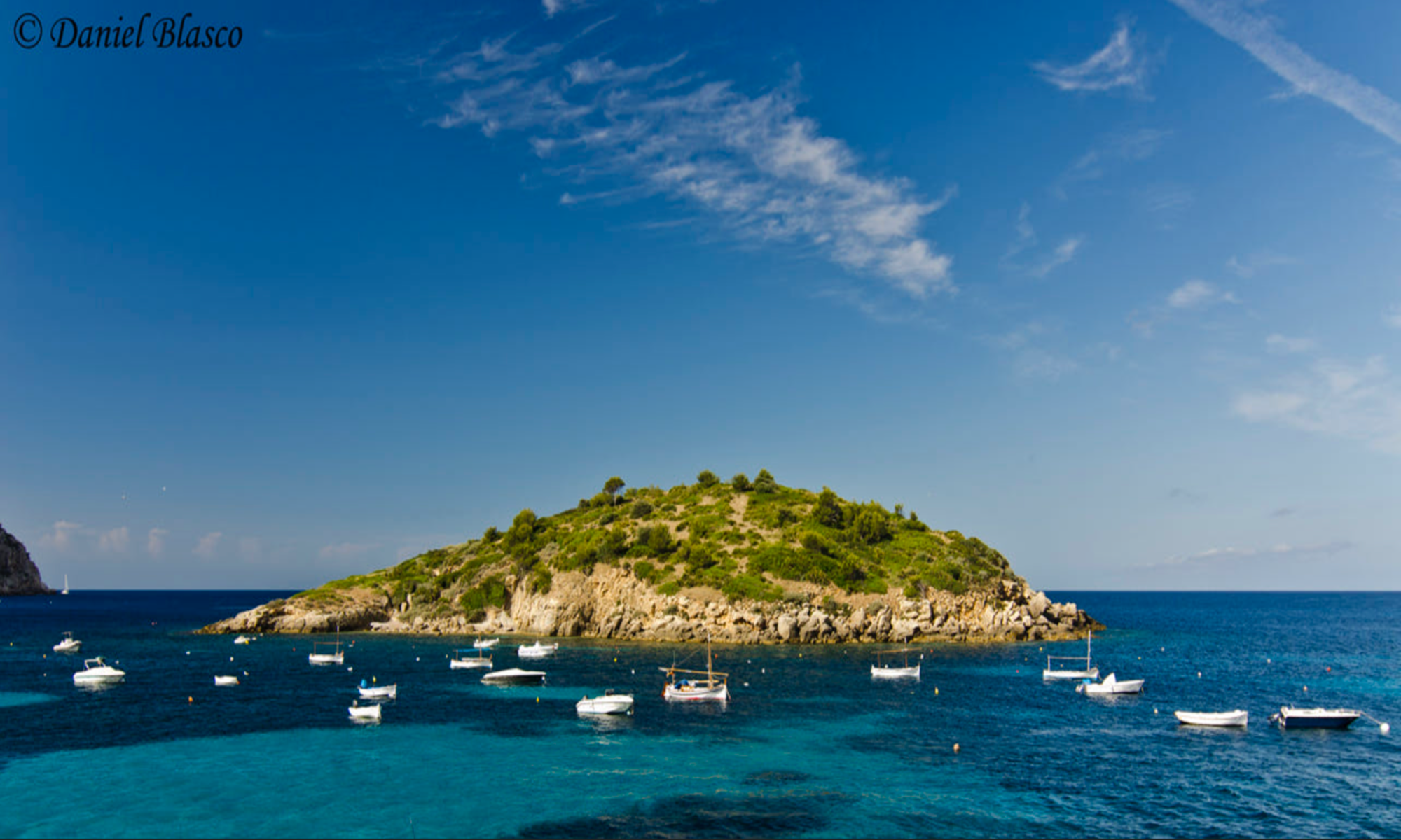 Mallorca new