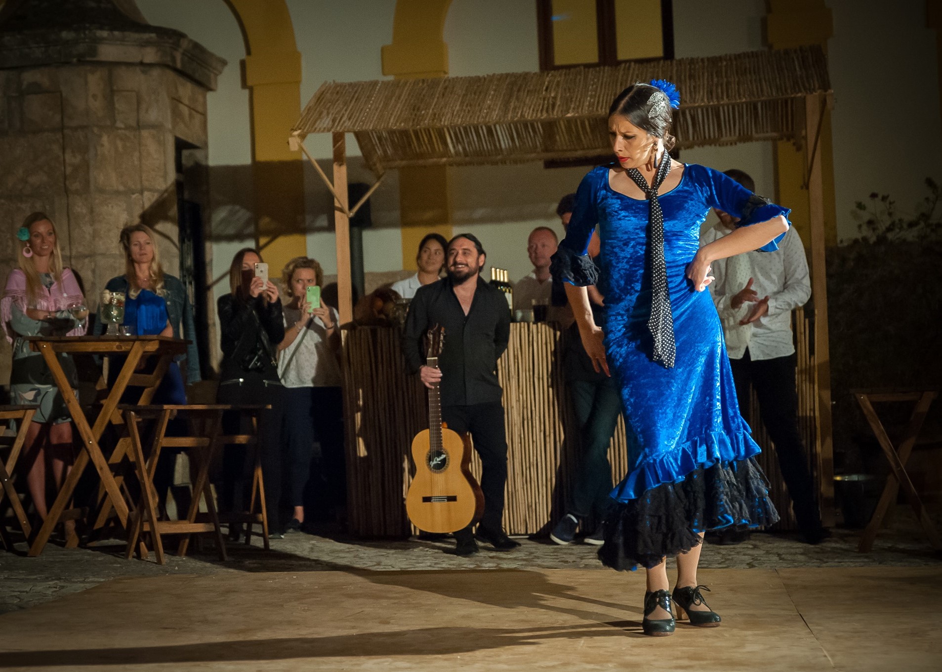 flamenco